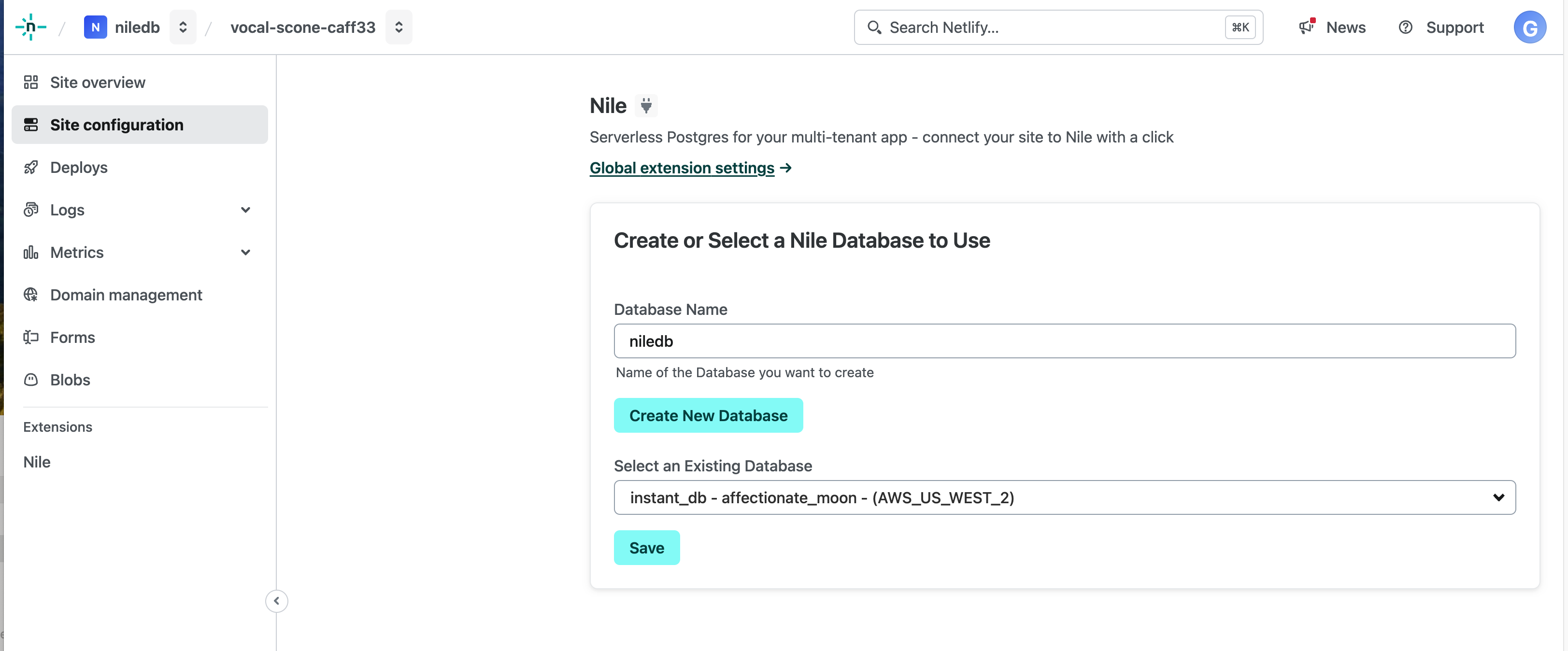 Selecting Nile database for Netlify project